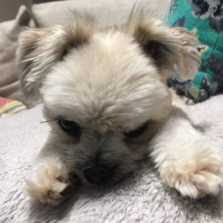 9ab696e1 19ed 4ebd 9569 9b138156eef5 1527591052611