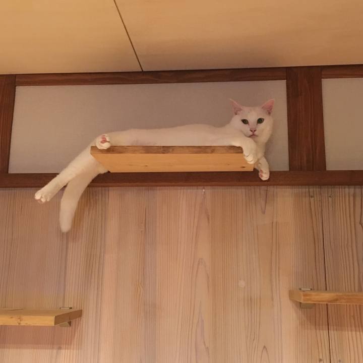 9ab6f355 5b2e 4678 971f 323611caa08d 1538779464746