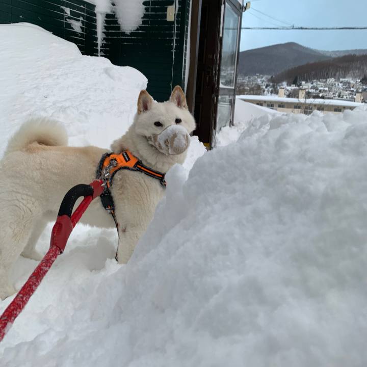 9ab7026f f10c 4fae a148 dde18fede163 1675291318868