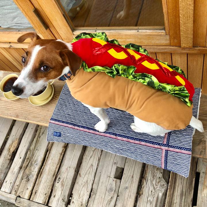 9ab70f5f ad0b 47c2 94d0 4168487c5753 1571570282951