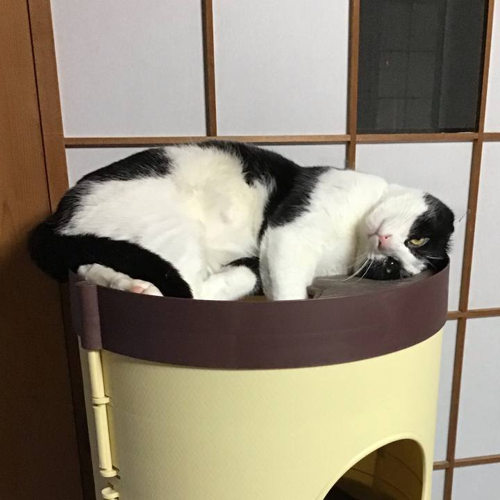 9ab74668 7dc6 4c04 b7a0 80568394a129 1673010112088