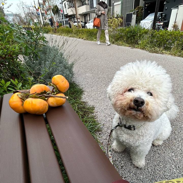 9ab7580a e61f 4531 8f1e f066a2e9d481 1762923628685