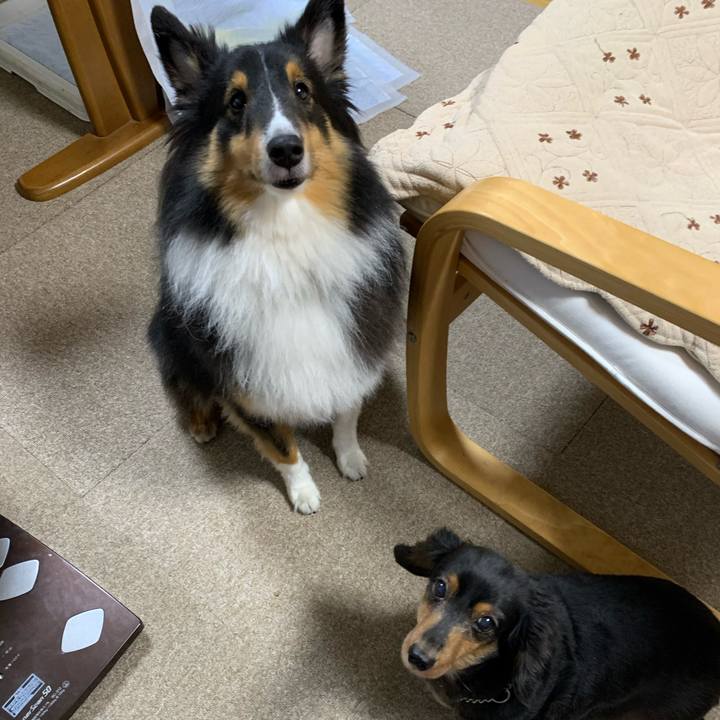 9ab75a92 a895 41f9 8089 acd37f0d2c4c 1603143261267