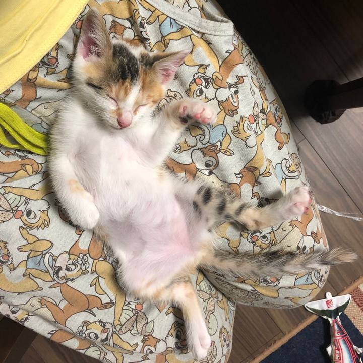 9ab75bb2 e724 413d a0af d599b31c6613 1561473084031