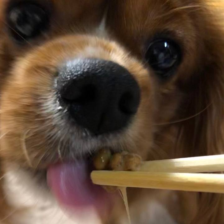 9ab7714d 49b8 4c9b ae60 75757eac6306 1567854738277