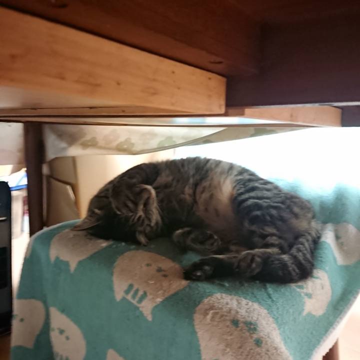 9ab7eaca ea62 4bc4 8f40 f3f36891e6af 1655156559351