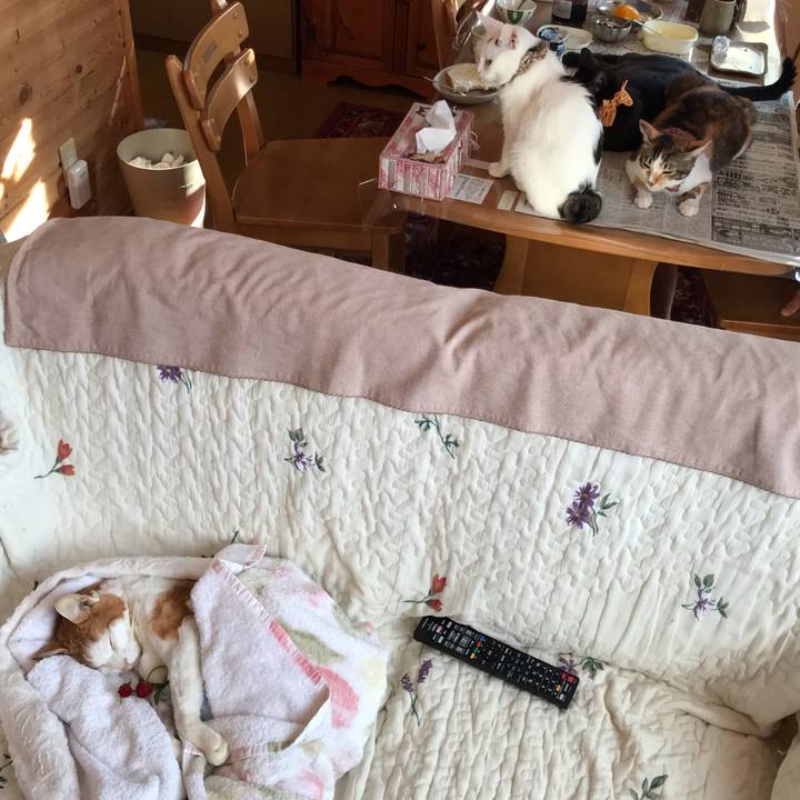 9ab7f81f 08e4 4fe7 9e92 2b6271f3dbe7 1628286596953