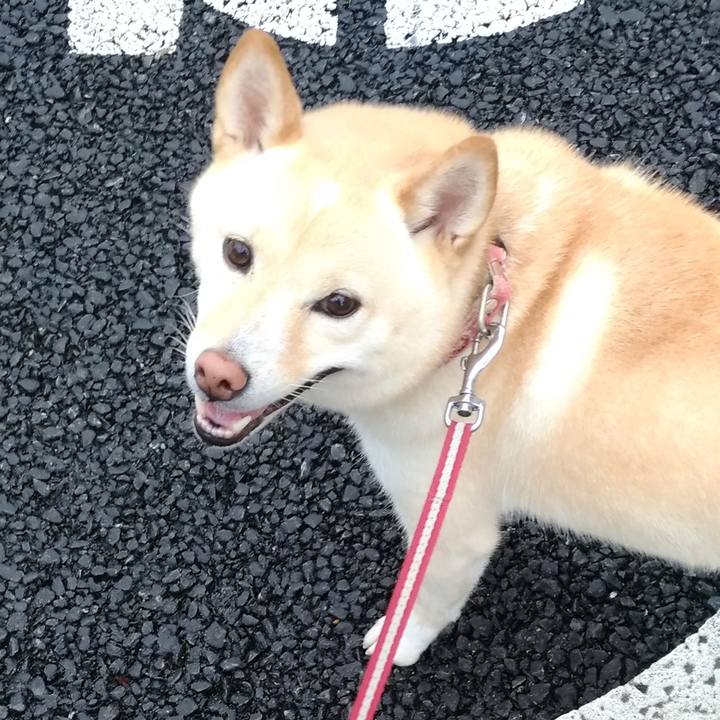 9ab7faf4 76cf 4ad4 a91c f14d6aed1e63 1600037779192