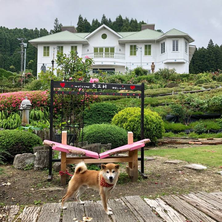 9ab80651 2729 4961 9f32 4fa4d0e75e27 1560242870858