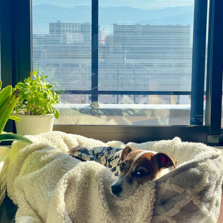 9ab81091 d288 4686 99a3 bc96377a8213 1763857785636