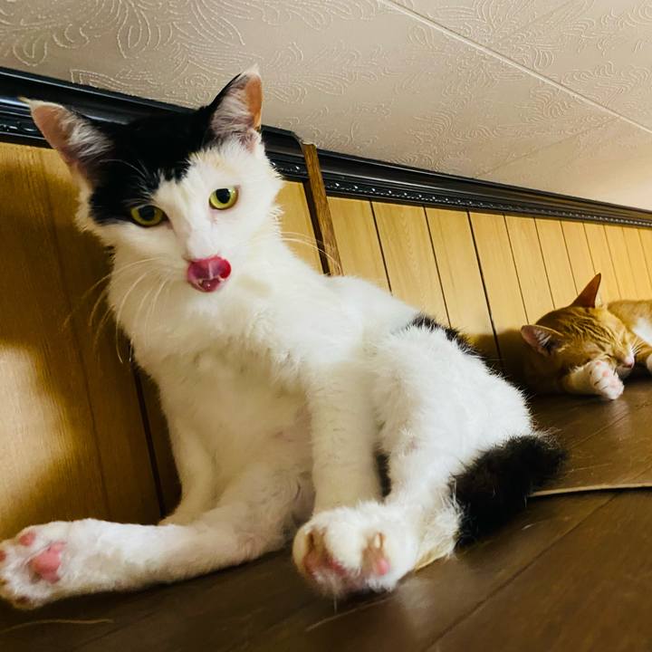 9ab83365 0830 4562 9d40 d1f9c242f3eb 1656251369808