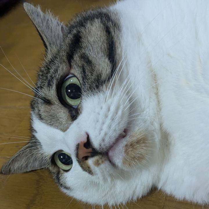 9ab85e62 b26d 4895 b57b 4b520d8932c8 1756295397456