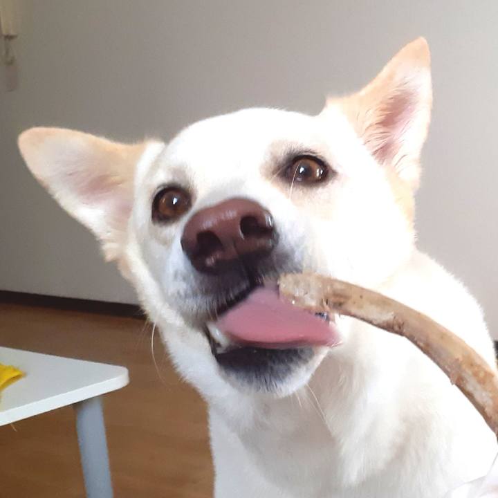 9ab85f8e db44 4f15 9f6d 24d9897c858c 1628035586018