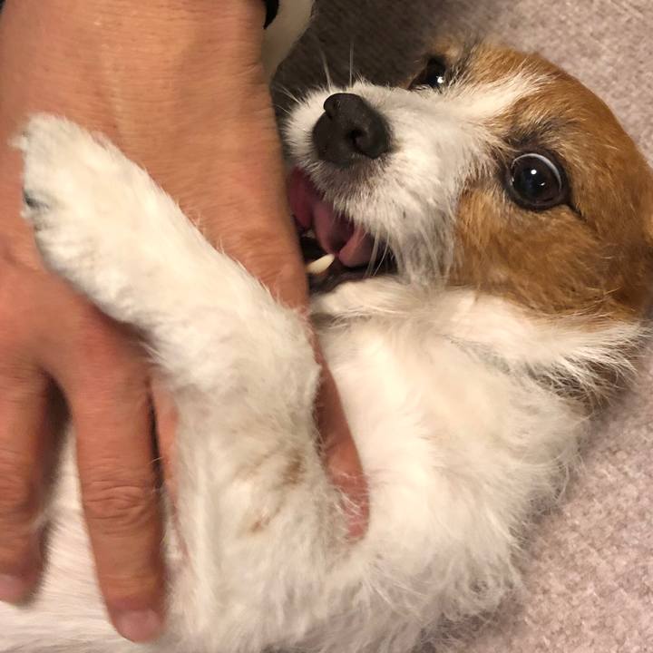 9ab8610b 718a 41a6 b2c2 ceb328b7b8a3 1571484221985