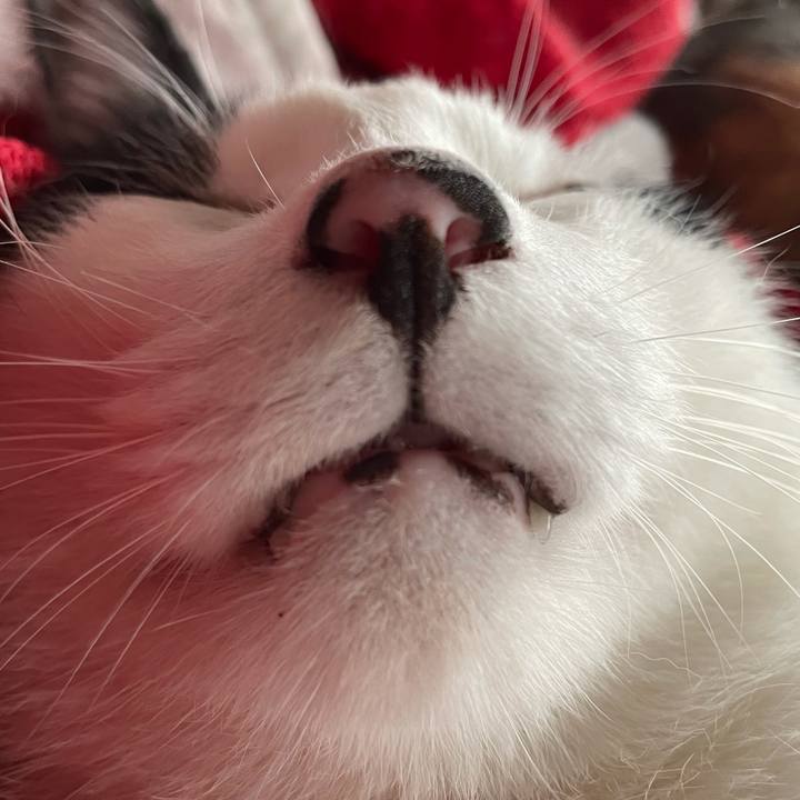 9ab8ac43 771e 4362 b443 371f93c295d6 1621636925656