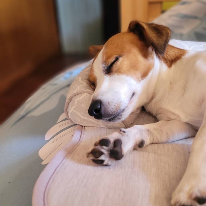 9ab8b6a2 5ee6 4039 aca1 f955792e5745 1664683499055