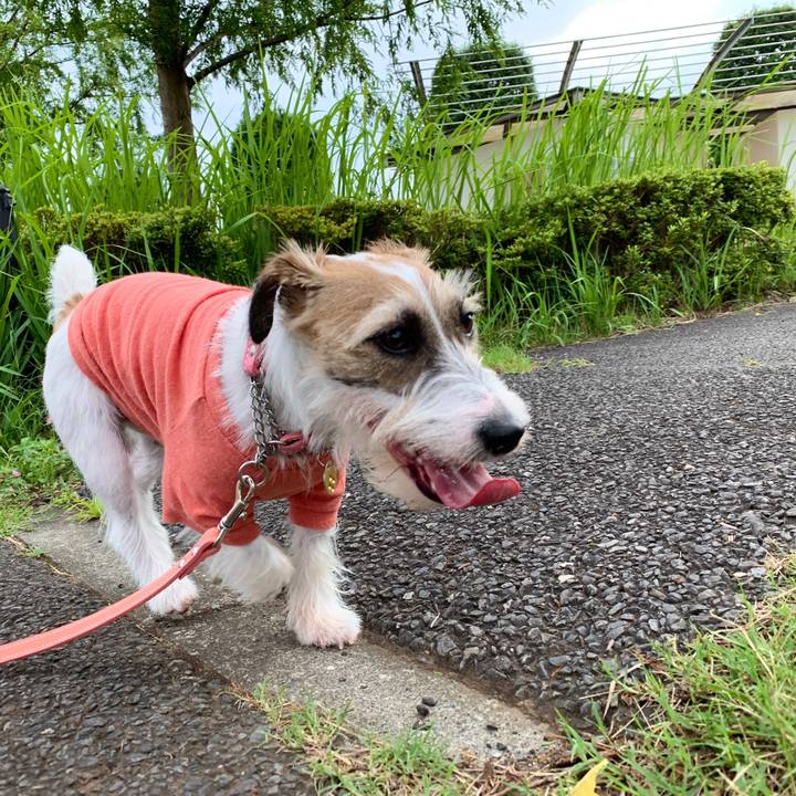 9ab8c735 bcbb 4db7 999a a540d658c883 1594371644285