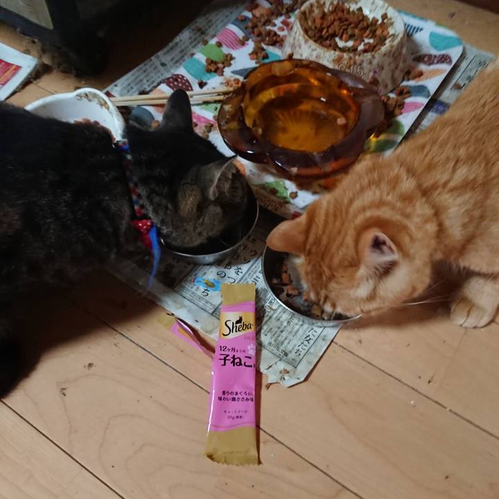 9ab8df54 7b7f 429a a34c dcb565b14538 1656800469127