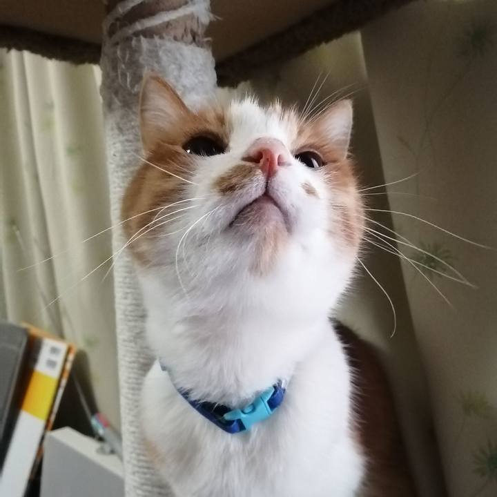 9ab9320d 30e6 4178 baf5 ddb23686f1cc 1645483309436