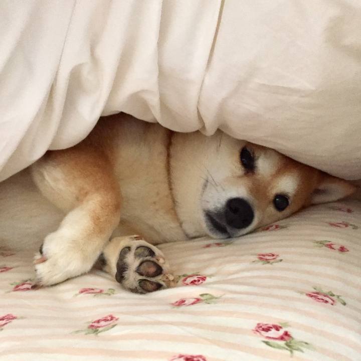 9ab93a2a 51bb 4704 9d01 738c4b32b864 1554932130635