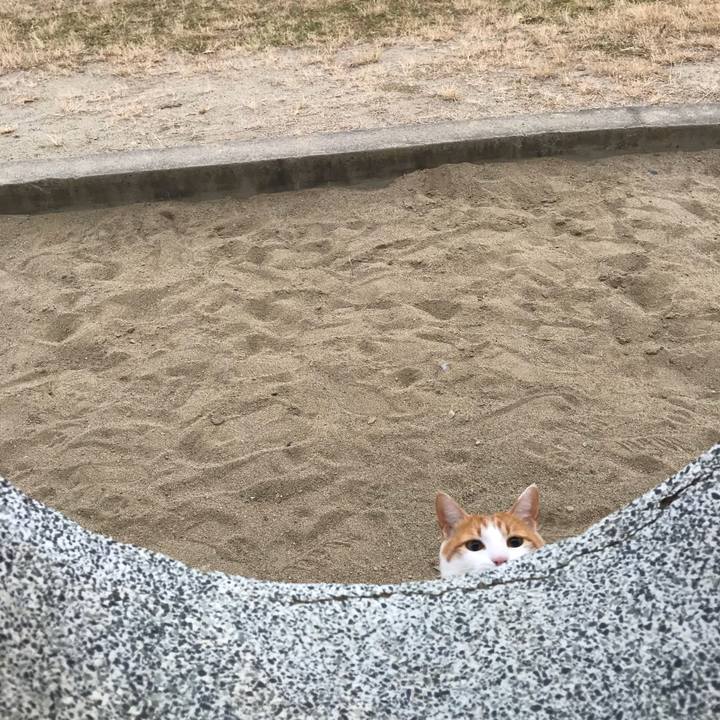 9ab941e8 2721 4376 8443 f30599b5a74f 1512372563847