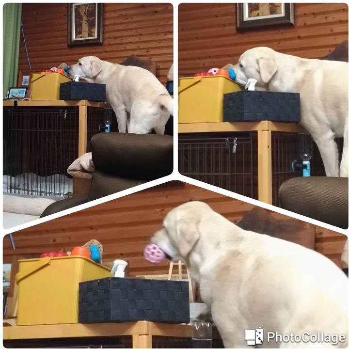 9ab97b9f b0c3 411c 8938 84c443de6302 1637752640769