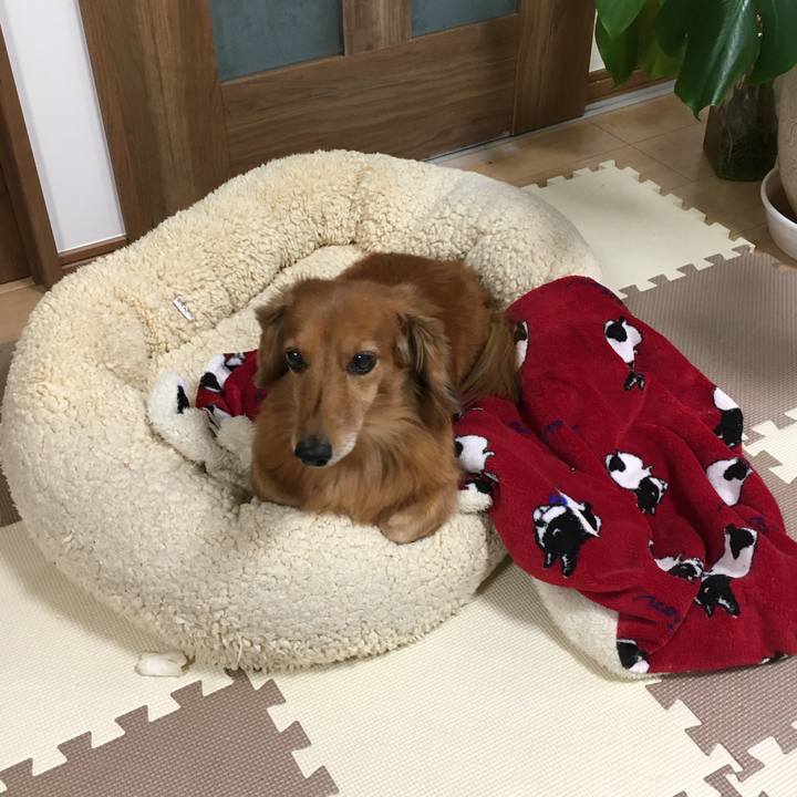 9ab97f58 2b27 4009 8c9e f4bca584dba2 1573563899979