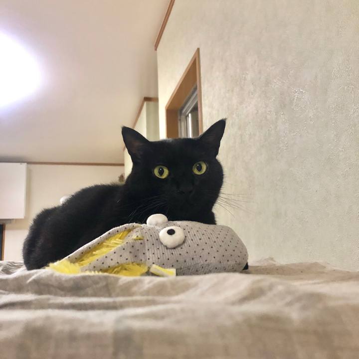 9ab99fb0 72ba 4b15 919c a71a75515723 1600097039244