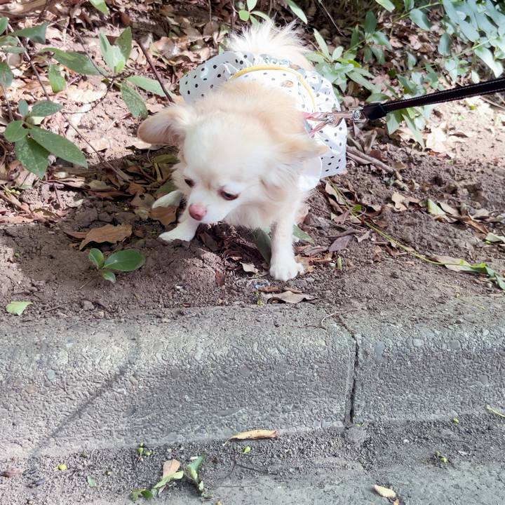 9ab9a195 e881 42a2 aeed d00c6fdf94ab 1752985070173