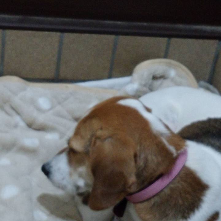 9ab9b2c1 6713 4888 9c4a 0d527be98ba5 1575466490777