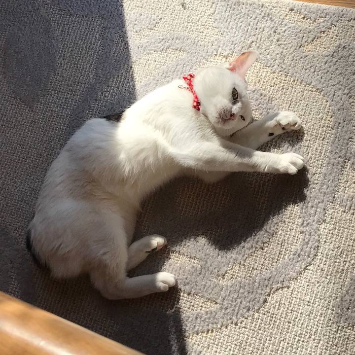 9ab9b603 3946 466e a4e9 84a5debf6e6d 1558698418132