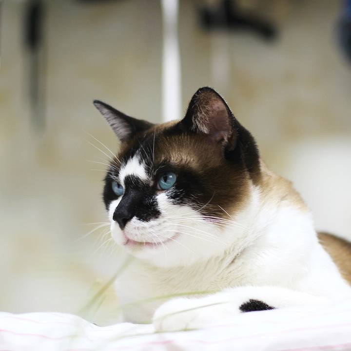 9ab9ebf1 fd35 4d74 9e05 0ed25336c080 1508590874399