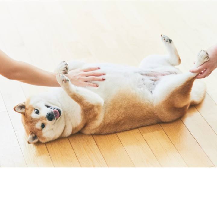 9ab9f332 6236 49ad 8714 a66b15dd6597 1688298884441