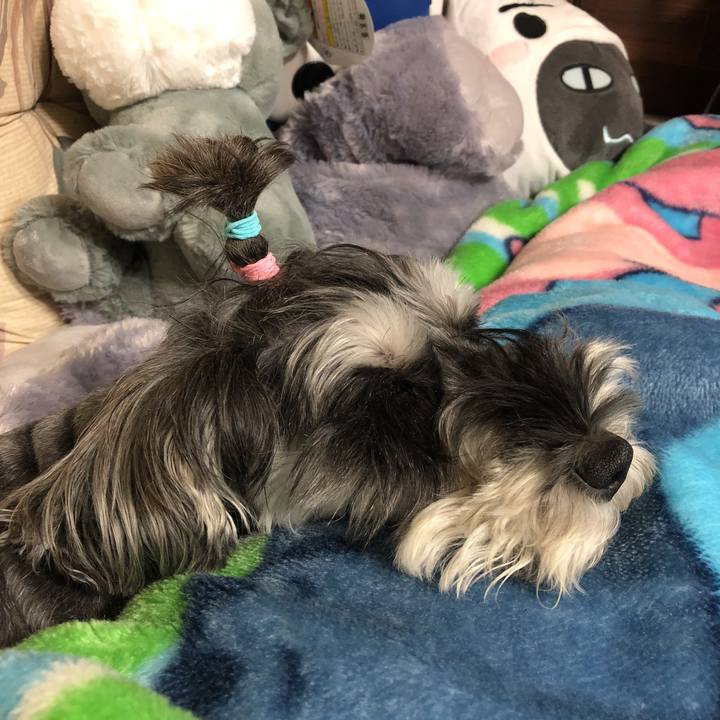 9ab9fbb6 468e 4c56 9c2c 3de3d67806de 1539435265884