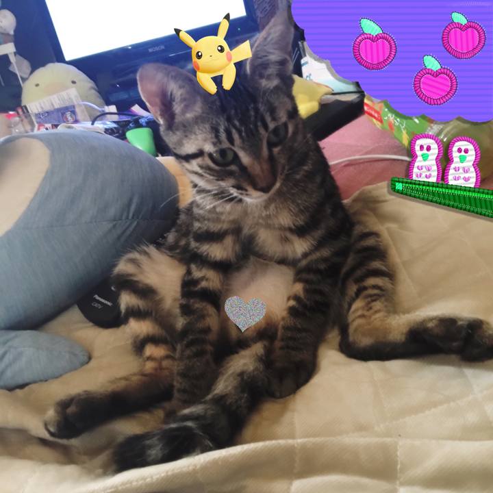 9ab9ff14 8d8a 4b9d bbcb b46d55626614 1538627628933