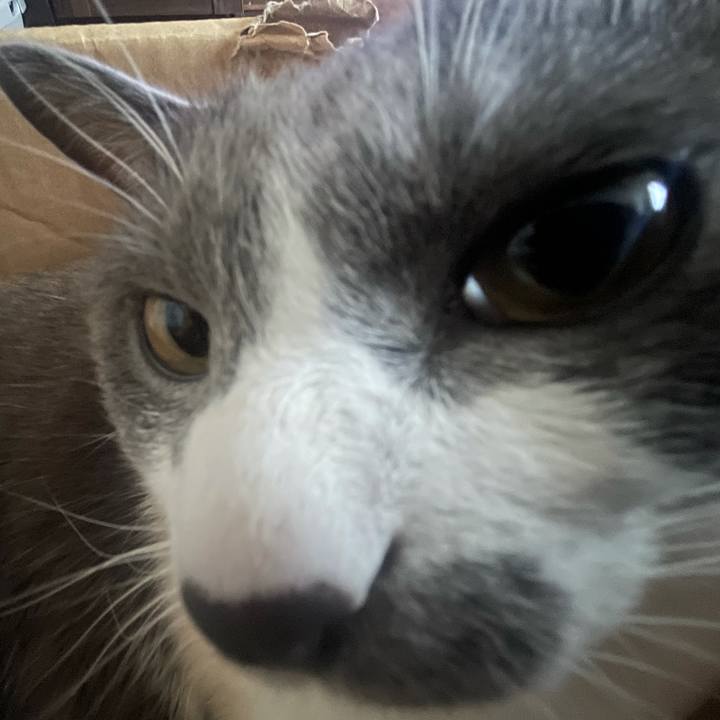 9aba00fe fc49 4f9c 9152 c6aef505ffb7 1628403510284