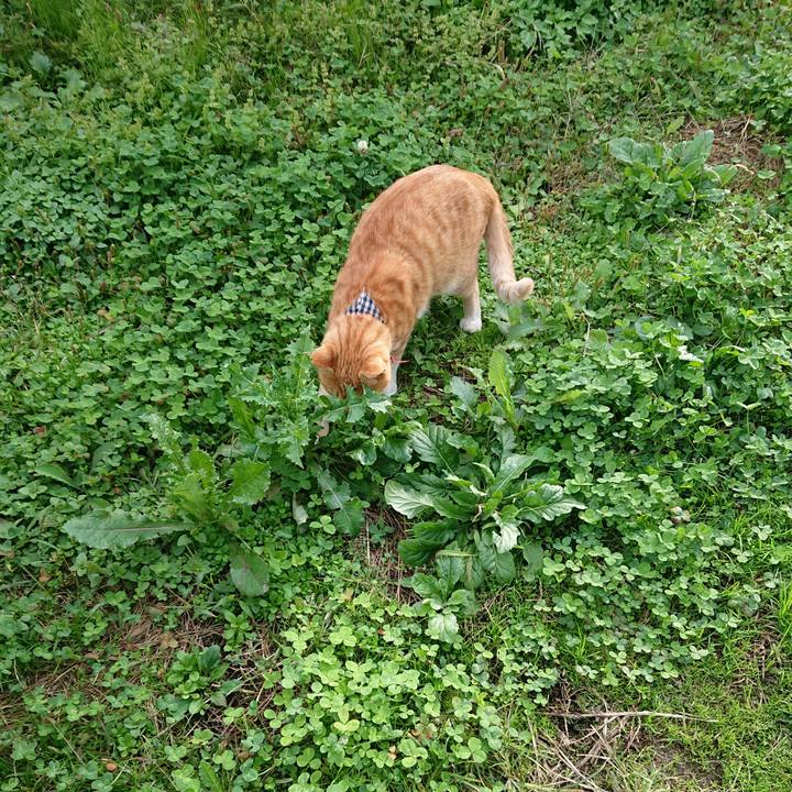 9aba01a7 bd01 4b08 a183 163d15797f2c 1571552437066