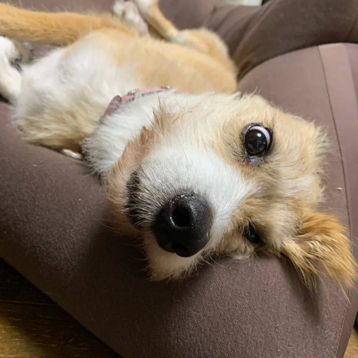 9aba0ad8 2b8e 4ccf aea9 19942bc059c0 1641338451798