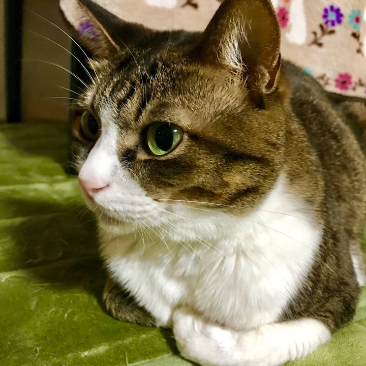 9aba3dae 4dc1 457e b98c 4d8c975bba34 1520078783414