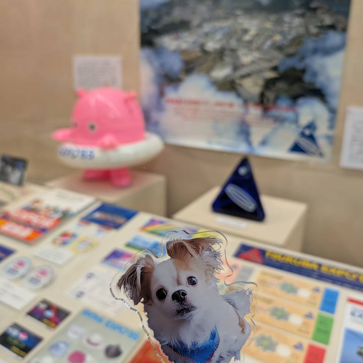 9aba5466 28b7 4328 8548 566ac6cf9511 1750600798630