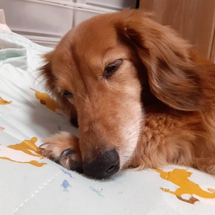 9aba86e3 335d 4d38 b20b 67bebbd163f7 1623937272934