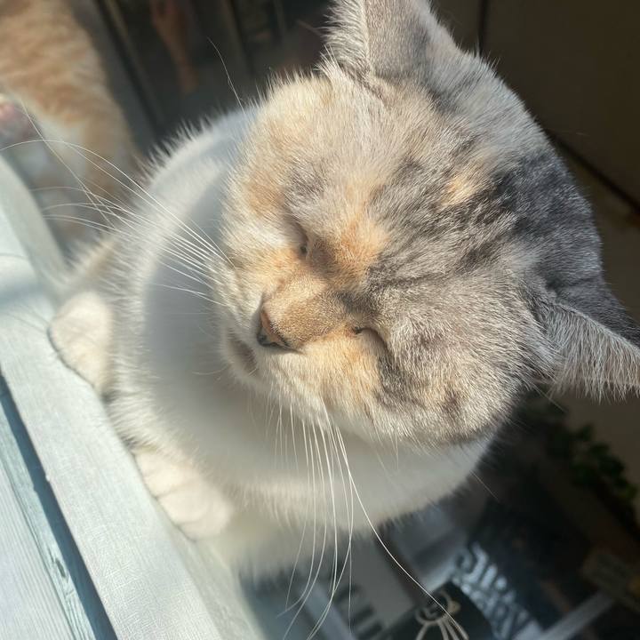 9aba9324 b8af 4da1 ab91 8d2d66c8d13d 1637471191757