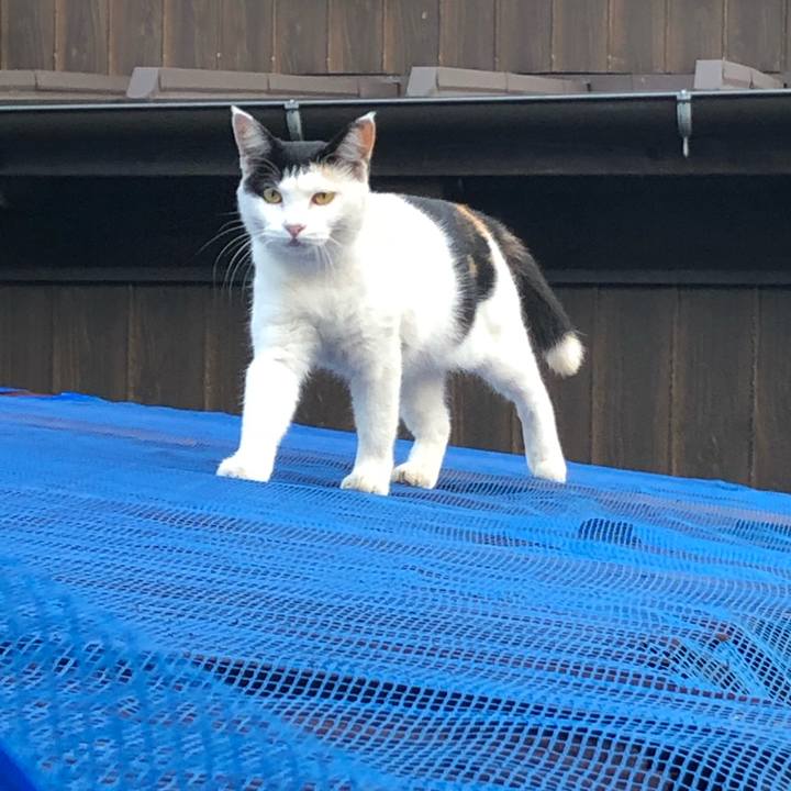 9abaeaf5 119b 4730 b2ae 139785299290 1599646378832