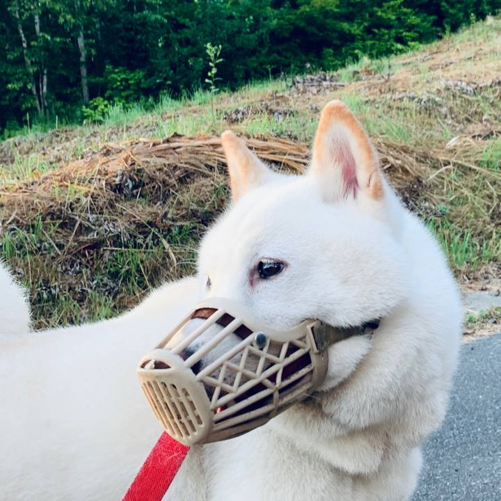 9abb4be1 8984 4ee5 9622 3155f3adcbaa 1596317944777