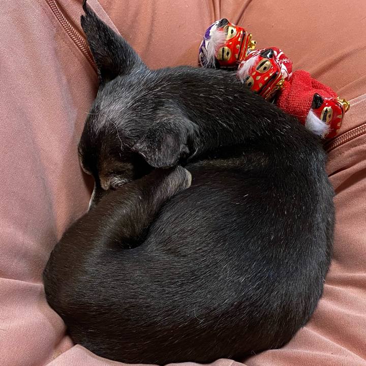 9abb6427 ecfd 492a 90d4 656fa8ab0524 1609765448166