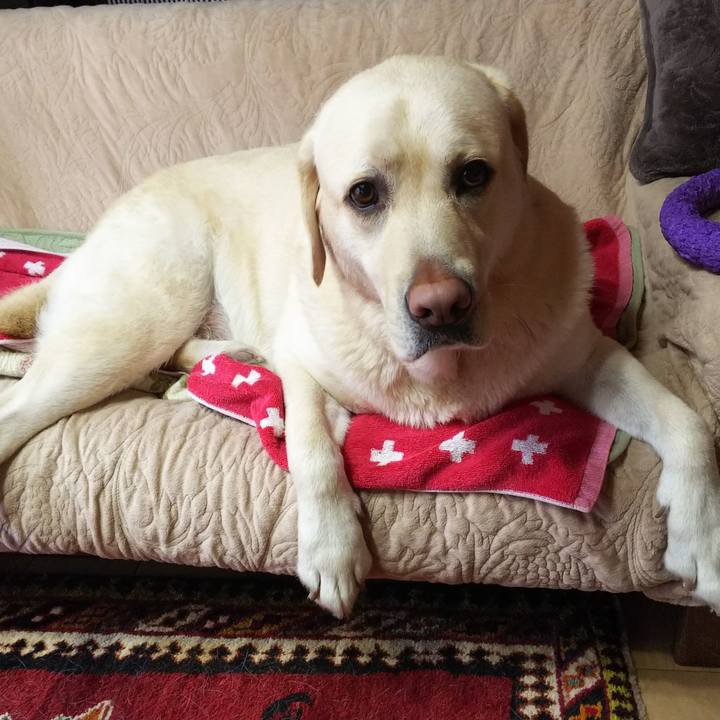 9abb7c30 1093 49b7 b46b 6b306f2a0964 1576903815156