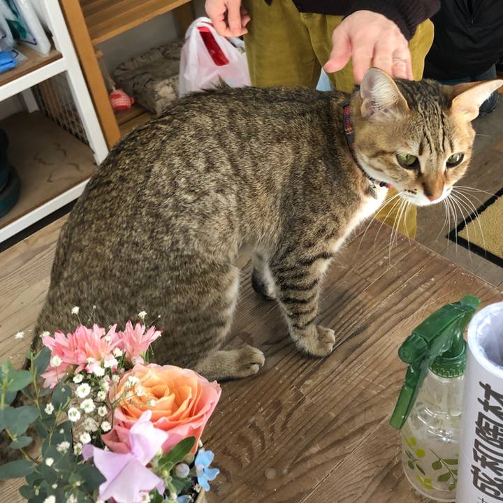 9abb8546 9c9d 4d19 87d6 8f5ec7c85e2c 1641541867645