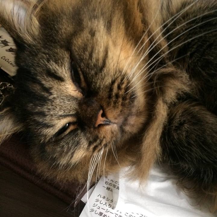 9abbb765 8e64 4d38 ab04 43d8d76a15e8 1534765154407