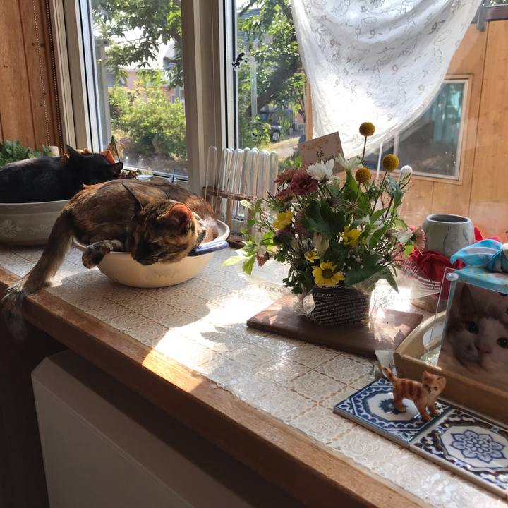 9abbb98f 4ca7 4ac9 a920 ff4aa0b7a890 1628983325856