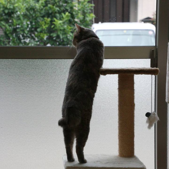 9abbba68 3d9a 499b 8de0 58d282251e02 1561537156588